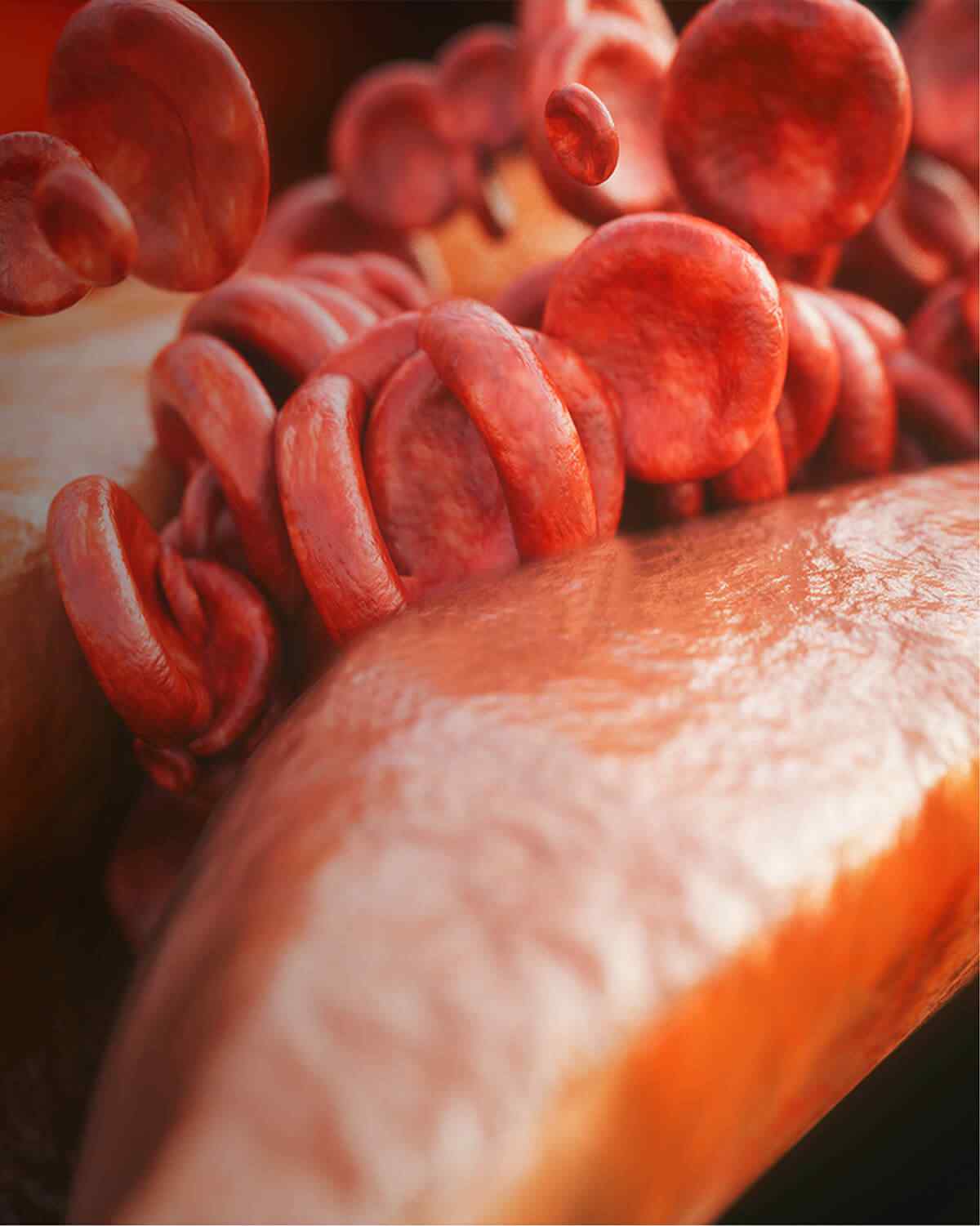 https://rinamed.ma/wp-content/uploads/2021/08/interactive_image_right.jpg